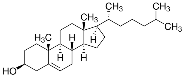 胆固醇,由动物脑中提取